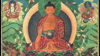 Shakyamuni Buddha Confusions