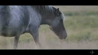 Gravitate Travel | Discover The Beauty of Iceland