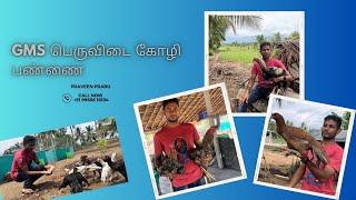 Gms பெருவிடை கோழி பண்ணை part 1  #Gmsfarm #salem #birds #poultryfarm #peruvidai #sandaikozhi