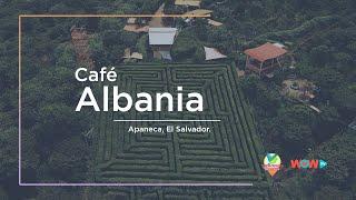 El Salvador│Café Albania │Tesoros de mi Tierra