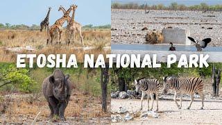 Self Drive Safari in Etosha National Park Namibia 