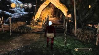 Dark Souls II - Things Betwixt: Bonfire Tutorial & Info, Small Smooth Silky Stone Acquired, Deprived