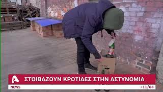 Άφαντος ο TikToker που πουλούσε κροτίδες μέσω βίντεο | AlphaNews Live
