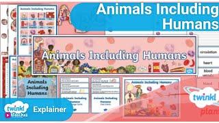 How to Teach Year 6 'Animals Including Humans' Unit