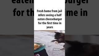 cheese burger