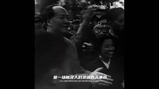 《新的回合》【转载】 #无产阶级文化大革命 #历史
