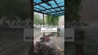 Талас