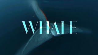 Whale - Faminor (Official Teaser)