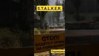 Это ли смерть Потерянный сектор STALKER аудиокнига Александра Родина