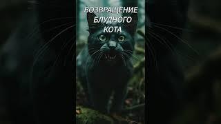 Страшная История/Блудный Кот Вернулся