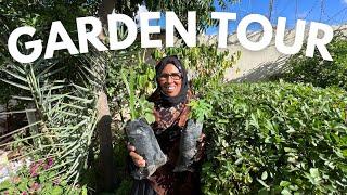 Full tour of our HOME GARDEN 🪴 in HARGEISA SOMALILAND 2023