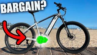 Overpriced Electric Bikes DO NOT Want You To See This "Mid Drive" E-MTB!