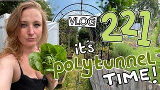 Polytunnel Action! + Late June sowing, planting out and harvests Ep221 || Plot 37