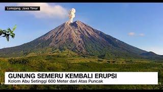 Gunung Semeru Kembali Erupsi, Luncurkan Abu Vulkanik Setinggi 600 Meter