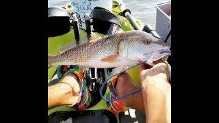 CATCHING A ONE OF A KIND REDFISH.....#FISHBANDITSQUAD