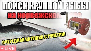 ОЧЕРЕДНАЯ КАТУШКА С РУЛЕТКИ • ИЩЕМ КРУПНУЮ РЫБУ • РР4 СТРИМ • РОЗЫГРЫШИ • РУССКАЯ РЫБАЛКА 4