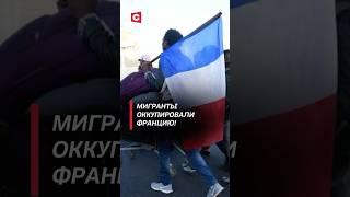 Количество мигрантов во Франции достигло рекордного уровня! #франция #мигранты #кризис #политика