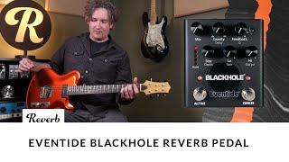 Eventide Blackhole Standalone Pedal Demo | Tone Report