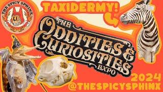 The Oddities & Curiosities Expo 2024 (Las Vegas) - Artwork, Taxidermy, Antiques, Apparel, & MORE!