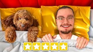 J'ai Testé des Hotels 5 Étoiles pour Chien ⭐️⭐️⭐️⭐️⭐️