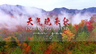 Enchanting Autumn天气晚来秋 - Music for Relaxation & Stress-relief.