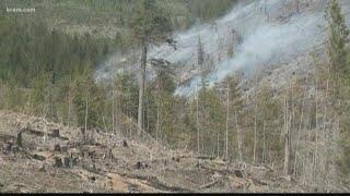 Prospect Fire near Harvard, Id., burns after dry weather in North Idaho