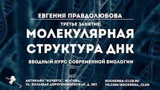 Евгения Правдолюбова: Вводный курс современной биологии. Третье занятие: молекулярная структура ДНК