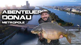 Abenteuer Donau Metropole | Karpfenfischen am 20 km Entlastungsgerinne