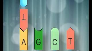 Glossario: le BASI del DNA