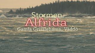 Alfrida - Gamla Grisslehamn - Väddö 2 jan 2019 - Melker Stendahl