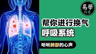 【肺腑之言】【肺腑之言】人体如何借助呼吸系统实现与外界进行的气体交换？