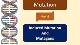 Induced mutation | Mutagens | hindi | Base analogs | DNA modifying agents | Intercalating agents