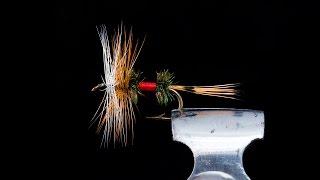 Royal Coachman Bivisible - Catskill Dry Fly