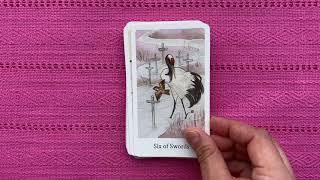 The Botan Tarot by A. Miyako M. (Full Flip Through)