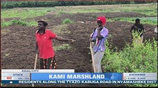 A dispute has erupted between 1000 farmers in Gasabo and Investor who was leased Kami Marshland