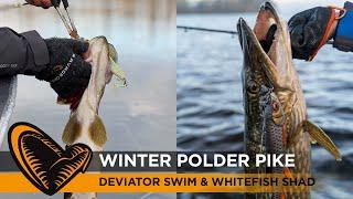 Polder Fishing in Winter with Sean Wit and Deviator Swim and the White Fish Shad #pike