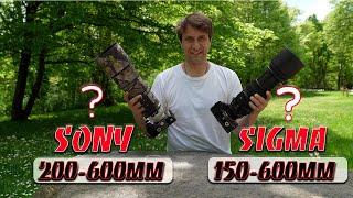 Sigma 150-600mm vs Sony 200-600mm -- Wer ist Sieger?