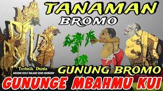 BAGONG NYITA TANDURAN GUNUNG BROMO,PAGELARAN WAYANG KULIT DALANG SENO NUGROHO