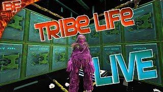 Ark Tribe Life LIVE