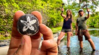 ️ Cracking Open Rocks for INCREDIBLE Crystal Covered Fossils & Exploring a Florida River! ️