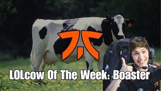 Lolcow Of The Week: Boaster