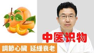 杏子的功效與作用禁忌【保健養生】生生不息┃潤腸通便┃改善心血管┃調節心臟┃延緩衰老┃美容養顏┃