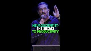 Neuroscientist: The Secret To Being Productive | Andrew Huberman #hubermanlab #shorts