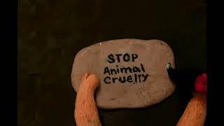 Stop Animal Cruelty