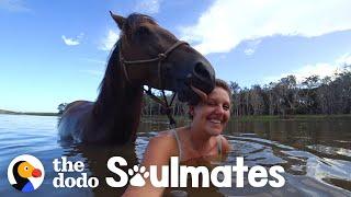 Loyal Horse And Her Mom Have The Strongest Bond | The Dodo Soulmates