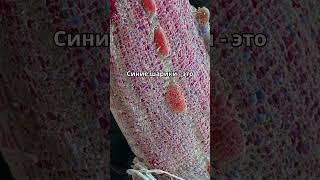 Мышцы под микроскопом  #биология #факты #наука