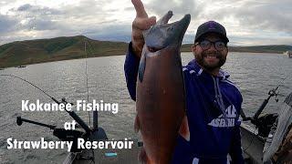 Kokanee Fishing at Strawberry Reservoir