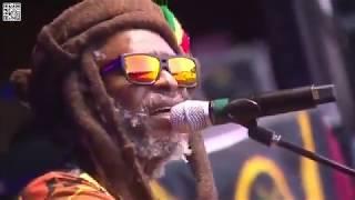 Steel Pulse - Don't Shoot - Live at California Roots 2019