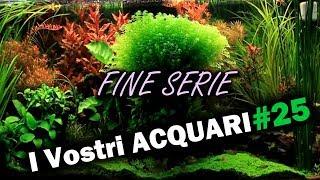 TOUR dei vostri ACQUARI - S1E25 (Fine Stagione)