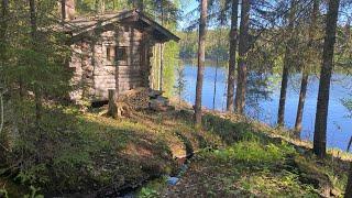 Firewood Piles And Tree Felling | Forgotten Log Cabin Project Ep 3